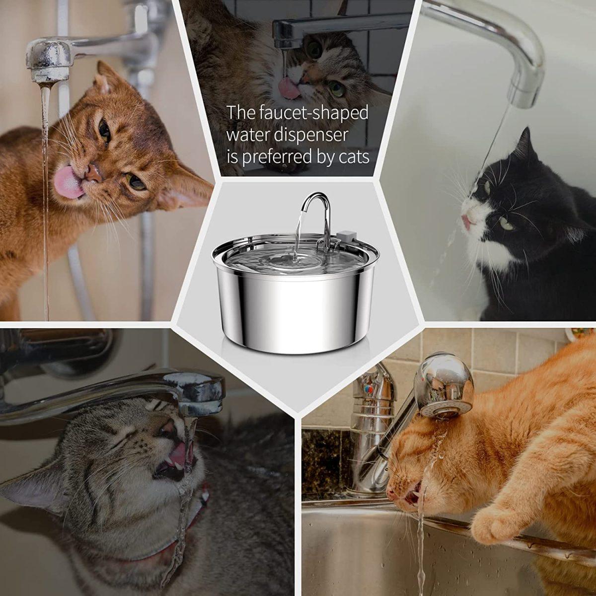 Stainless Steel Cat Drinking Fountain 4
