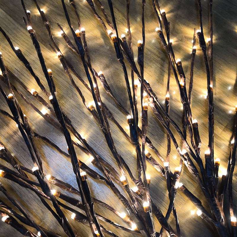 Lit Branch 4