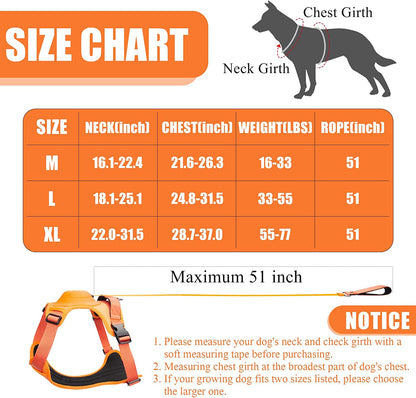 Dog Harness and Retractable Leash Set All-in-One 4