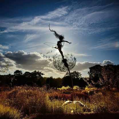 Fairies And Dandelions Status 4