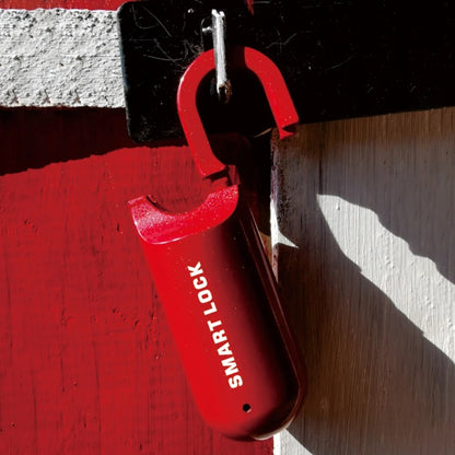 Portable Smart USB Rechargeable Fingerprint Padlock 4