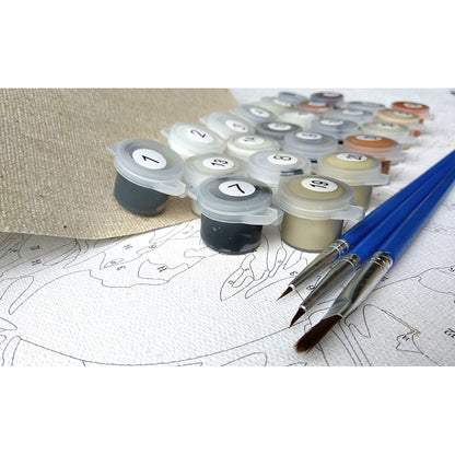 Drawing Painting By Numbers Kits 4