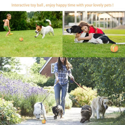 Remote Control Pet Bounce Ball 4
