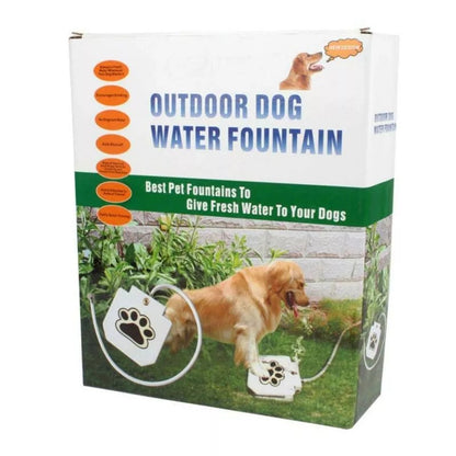 Dog Water Fountain 4