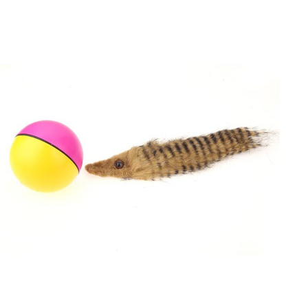 ELECTRIC BEAVER BALL 4
