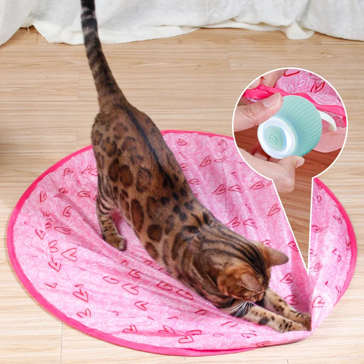2 in 1 Simulated Interactive Hunting Cat Toy 4