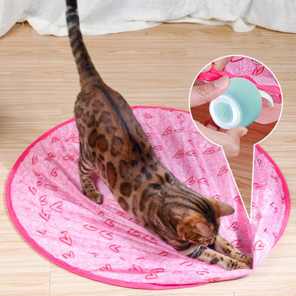 2 in 1 Simulated Interactive Hunting Cat Toy 4