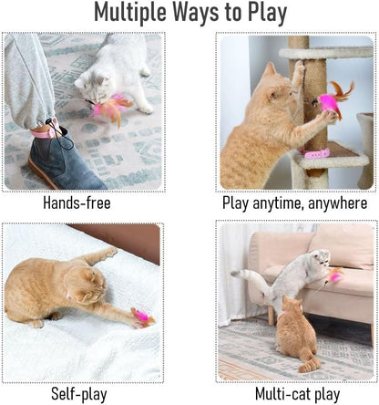 Cat Interactive Feather Collar Teaser Toy 4