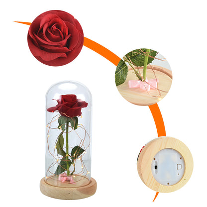 Enchanted Rose Flower 4