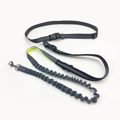 Handsfree Bungee Dog Leash 4
