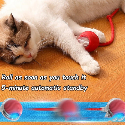 Rollraptor interactive pet toy ball 4