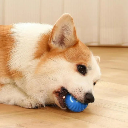 Interractive Motion Activated Rolling Ball Dog Toy 4