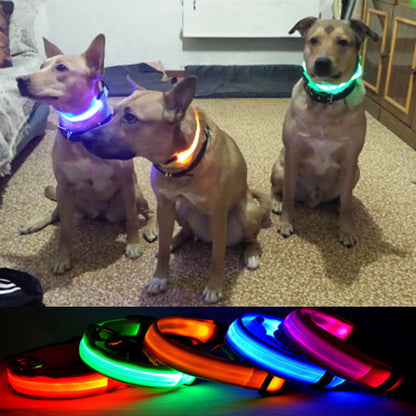 Premium Glow In The Dark LED Dog Safety Collar 3