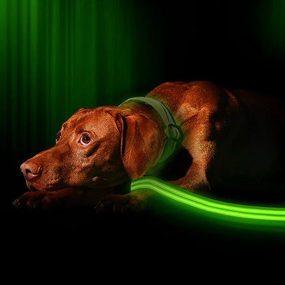 Visibility Leash 4