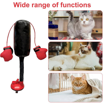 Cat Punching Bag Toy 4