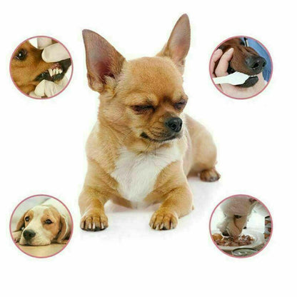 Pet Breath Freshener Spray 4
