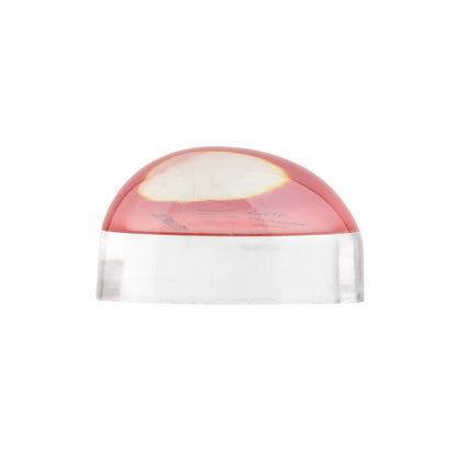 Egg Timer 4