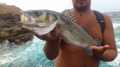USB Rechargeable LED Twitching Fish Lure 4