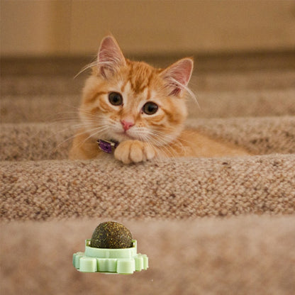 Natural Catnip Rotating Interactive Cat Toy 4