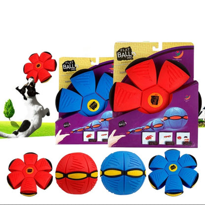 Magic UFO - FrisBall 4