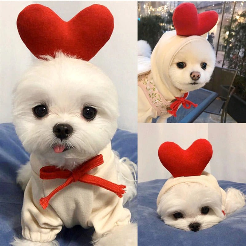 Purrfect Pet Hoodies 3