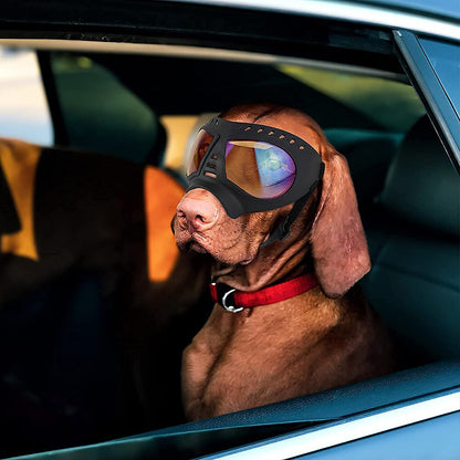 Dog Goggles Large & Small Breed 4