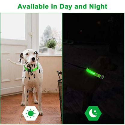 LED Flashing Dog Collar 4