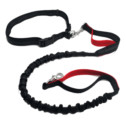 Hands-free Dog Leash/Heavy Duty 4