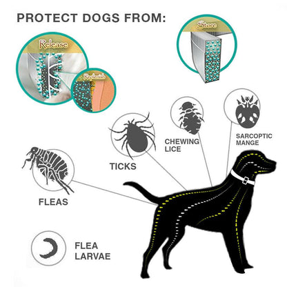 8 Month Flea And Tick Collar 4