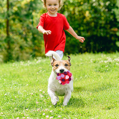 Sniffle Treat Toy 4