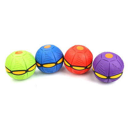 Throw Disc Ball 4