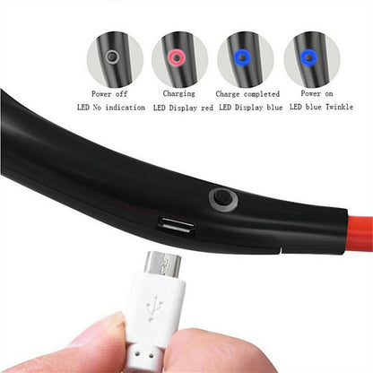 Portable Hanging Neck Sports Fan 4
