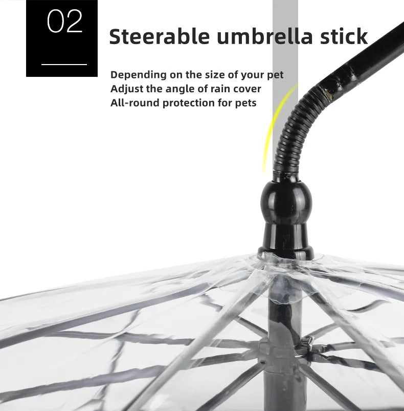 PawShield Transparent Dog Umbrella Leash 4