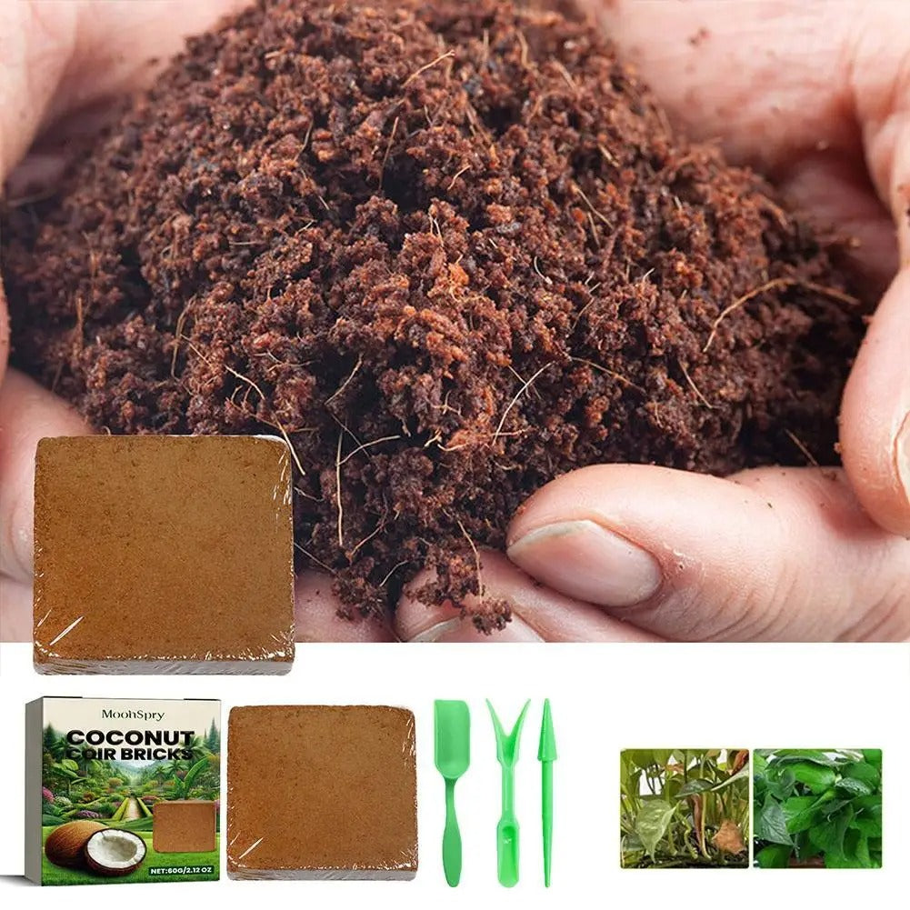 Organic Coconut Coir for Plants- 5PCS 4