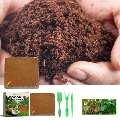 Organic Coconut Coir for Plants- 5PCS 4