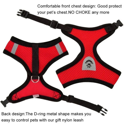Cat Harness & Leash 4