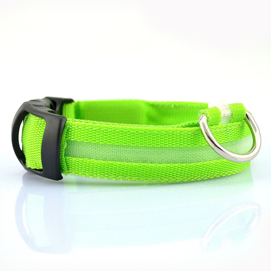 Pet Led Collar 4