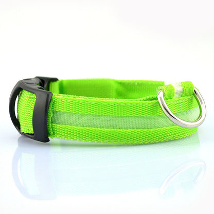 Pet Led Collar 4