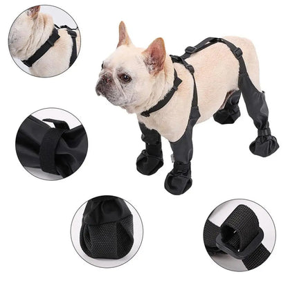 Suspender Dogs Boots 4