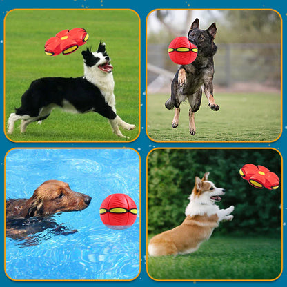 Pet Toy Flying Saucer Ball 4
