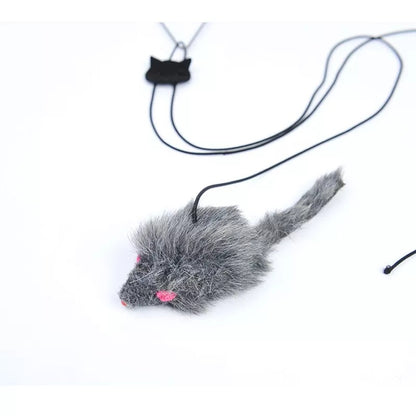 Bouncy Mousy Pet Toy 4