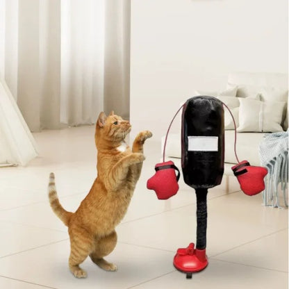 Interactive Cat Punching Bag Toy 4