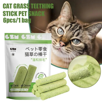 Cat Grass Teething Sticks 4