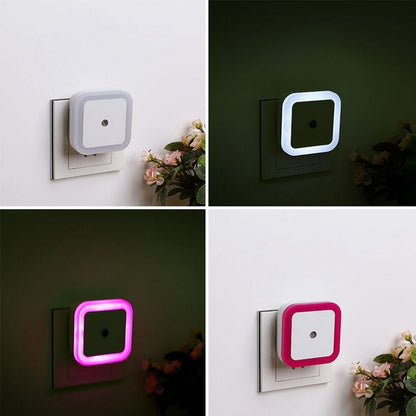 Squensor Light 4