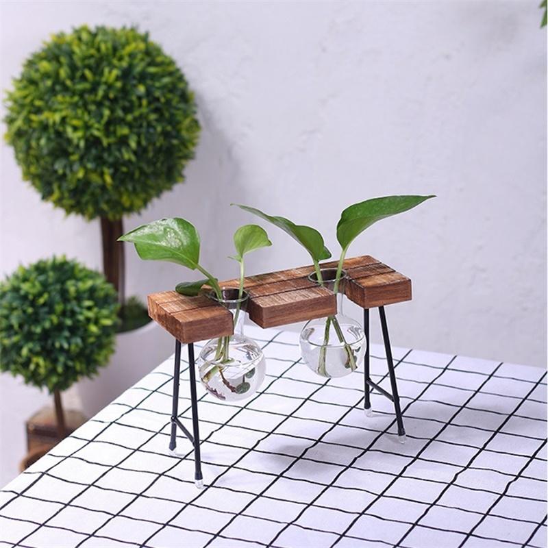 Plant terrarium with wooden stand 3