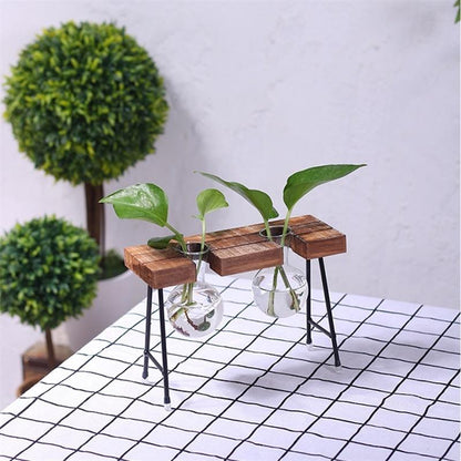 Plant terrarium with wooden stand 3
