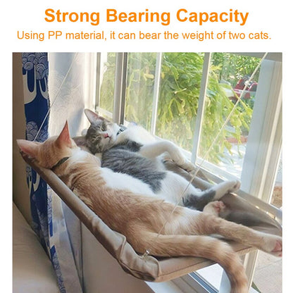 Cat Window Hammock 4