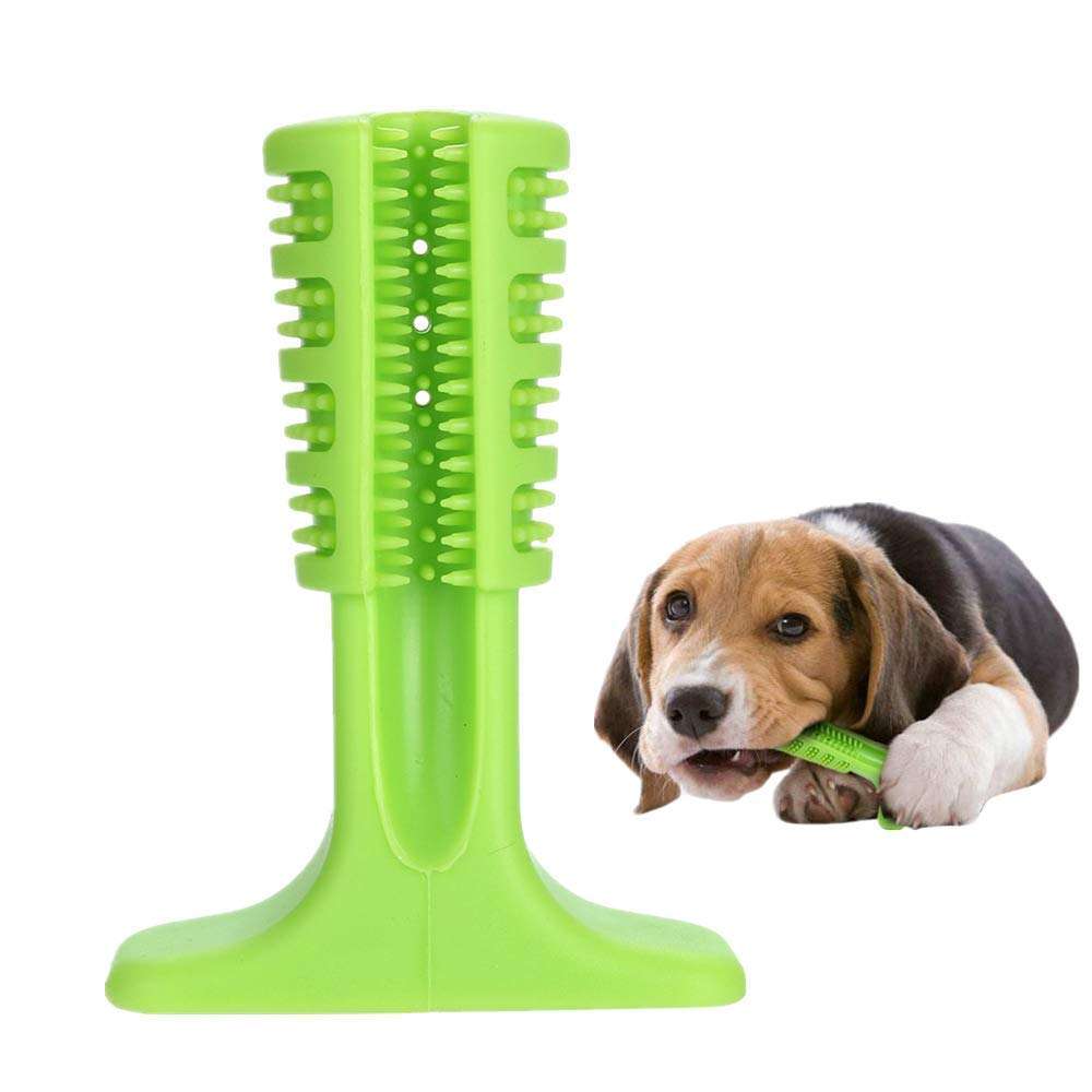 STRESS-FREE DIY DOG TOOTHBRUSH 4