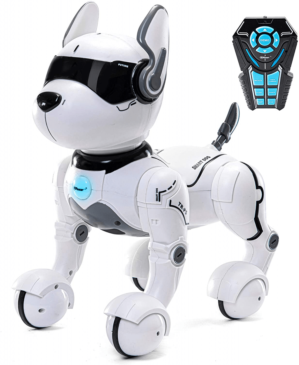Smart Dog 4