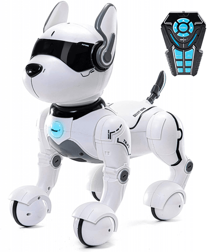 Smart Dog 4
